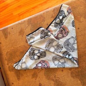 Skull Pattern Scarf - Black piping and light blue background